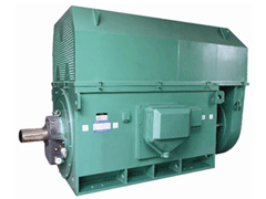铁山港Y系列6KV高压电机